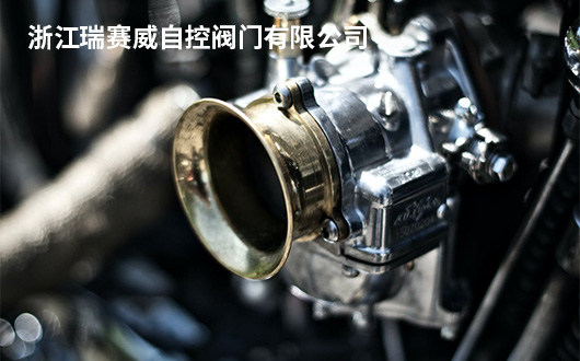 浙江瑞賽威自控閥門有限公司